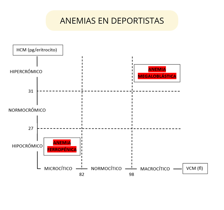 Anemias en deportistas